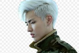 He has a tattoo of a borneo scorpion on his left hand. Kris Wu Capelli Hair Coloring Black Hair Human Hair Color Png 1024x683px Kris Wu Black Hair