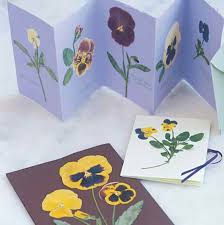 Maybe you would like to learn more about one of these? 40 Stunning Pressed Flower Art Ideas Cool Crafts