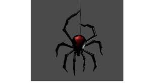 While mating, he will wrap her in fine strands that. Realistic Photo Image Of The American Black Widow Latrodectus Mactans Download Scientific Diagram