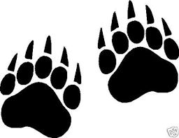 Baby Bear Paw Google Search Bear Paw Print Bear Paw Tattoos Paw Drawing