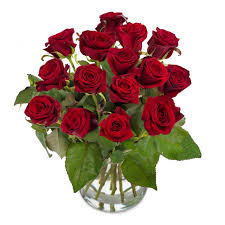 Die 50 roten rosen von surprose sind edelrosen. Roter Rosenstrauss Romantische Rote Rosen Euroflorist