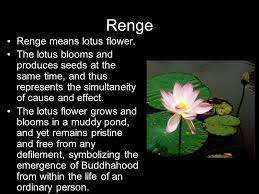 It is the name of the principle that underlies and animates all things in the universe, and the expression of that principle or law. Nam Myoho Renge Kyo Based On The Basics Of Buddhism By Pat Allwright Ppt Download