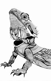 Pin On Coloring Pages For Adult