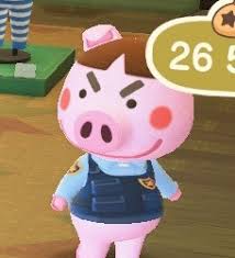 Truffles animal crossing new horizons. Acnh Truffles Tumblr Posts Tumbral Com