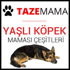 Proplan Yasli Kopek Mamasi Cesitleri Icerikleri Nasil Pro Plan