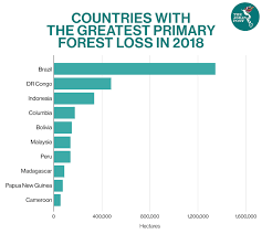 80% of sarawak's rainforest has already been cleared. Deforestation A Threat To The Heart Of Borneo The Asean Post