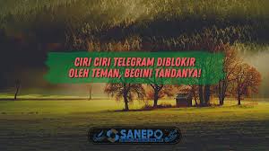 Dampaknya tidak hanya ujian nasional yang dibatalkan tetapi ujian sekolah smp yang semestinya dilaksanakan gagal dilaksanakan. Grup Telegram Archives Sanepo