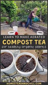 How Why To Make Actively Aerated Compost Tea To Feed Your Garden Homestead And Chill How To Make Compost Compost Tea Plants