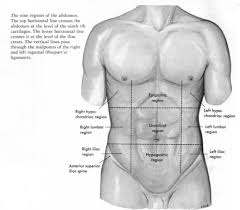 Maybe you would like to learn more about one of these? Nine Regions Of The Abdomen Flashcards Quizlet
