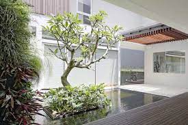 .untuk pagar rumah jika anda berencana membuat pagar rumah dengan tanaman, kami tukang taman memberikan contoh tanaman yang tepat untuk dijadikan pagar. 8 Cara Cantik Menempatkan Pohon Rindang Di Taman Rumah Halaman All Kompas Com