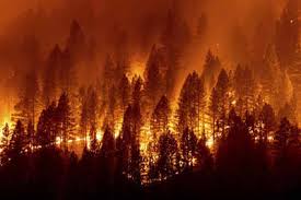 Cal fire, california current statewide incidents. Kae6cwee4vn0em