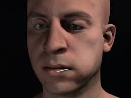 Simulating Speech with a Physics-Based Facial Muscle Model