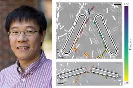 Xiang Cheng Co-Authors Paper with New Insights into Bacterial Rectification 