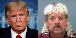 How did joe exotic get out of prison? Representatives For Tiger King S Joe Exotic Are Said To Be Chasing Trump Down For A Pardon And Spending Thousands Of Dollars To Get It Business Insider