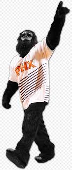 Gear up for your next phoenix game with official phoenix suns apparel including suns jerseys fanatics.com also offers the latest phoenix suns jerseys for fans of all sizes, so be sure to check out. Phoenix Suns Nba 2k17 Mascot The Suns Gorilla Png 800x1923px Phoenix Suns Charles Barkley Costume Fur
