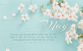 Check out our bible verse flowers selection for the very best in unique or custom, handmade pieces from our декор на стены shops. May Consider How The Wildflowers Grow Luke 12 27 Bible Verses And Scripture Wallpaper For Phone Or Computer