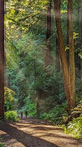 Anne Margaret Eley added a new photo.