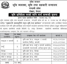 Lok sewa aayog published a notice regarding information/ contact officers for various works and queries. Vacancy At Gandaki Province Government Of Nepal