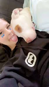 Welfare check for volunteer and her dogs in Lismore