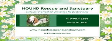 Visit your local findlay petsmart store for essential pet supplies like food, treats and more from top brands. Hound Rescue And Sanctuary Home Facebook