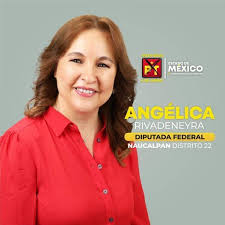 Este domingo arrancan las campañas federales en todo el país, sin protocolos sanitarios específicos expedidos por la secretaría de salud, para evitar. Conoce A Los Candidatos A Diputados Federales Para Nuestra Zona Dra Angelica Maria Rivadeneyra Colonos De La Florida Oficial Naucalpan 12 May 2021