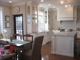 Almost Finished Lots Of Pics Kitchens Forum Gardenweb Grey Kitchen Walls Kitchen Sink Design Kitchen Wall Colors
