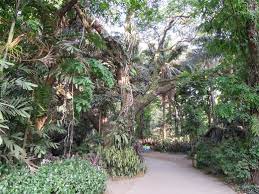 The Top 5 Best Places To Visit In Quezon City For Communing With Nature Travel Guide Dad On The Move A Family Travel And Parenting Blog