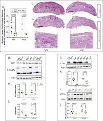 Anime review-Joshiochi! 2-kai kara Onna no Ko
