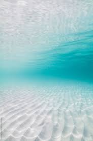 Transparent Tropical Sea Shallow Water By Jovana Milanko Sea Floor Tropical Stocksy Unit Iphone Wallpaper Ocean Iphone Wallpaper Tropical Ocean Wallpaper