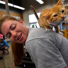 Things to do in Abilene this weekend, July 18-21