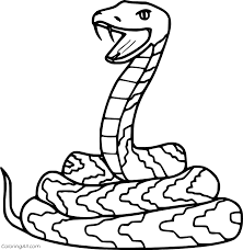 We did not find results for: Realistic Snake Coloring Page Coloringall