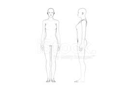 When it comes to building a sexier looking in my other article, i covered how proportions are key if you want to build the best looking body possible. Female Body Proportions Line Art White Background Stock Photos Freeimages Com