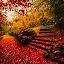 Maybe you would like to learn more about one of these? Beautiful Nature Dp Images Profile Picture For Whatsapp Novocom Top