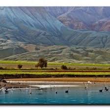 Kus Fotograflari Sayfa 7 Fotokritik Doga Fotograf Turkiye