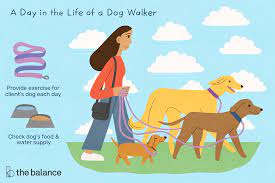 Definition of naics code 812910: Dog Walker Job Description Salary Skills More