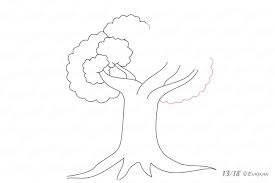 Wie Zeichnet Man Einen Baum Mit Einer Krone In Stufen