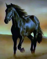 Image result for tbn:tVj6rqcH-AQR9M::www.pregonagropecuario.com.ar/images/caballo_overo.jpg