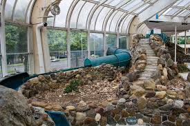 Tropicana Rotterdam Holland Abandoned Swimming Pool Abandoned Places Abandoned Swimming Pools