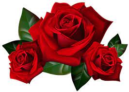 Red Roses Png Clipart Picture Rose Clipart Rose Art Red Rose Flower