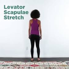 A Blessed Levator Scapulae Stretch For Your Stiff Neck And Tense Shoulders Thanks To Your Admittedly Less Than Stellar Posture Tense Shoulders Easy Stretches Scapula