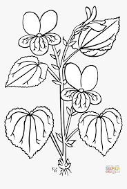 Download this adorable dog printable to delight your child. Coloring Pages And Books Pioneer Coloring Pages And Parts Of The Plant Outline Hd Png Download Kindpng