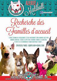 Pour recevoir nos newsletters et participer aux évènements Alerte A Malibull Added A New Photo Alerte A Malibull