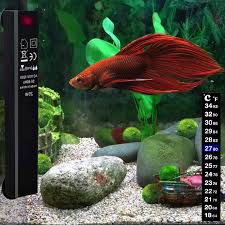 Shop menards for a great selection of electric water heaters of all sizes to meet your needs. 25w Mini Aquarium Heaters With 2 Artificial Plants 1 Stick On Thermometer Strip Energy Efficient Water Warmer Temperature Controller Smart Thermostat For 1 5 Gallon Tank Betta Fish Tank Heater Pet Supplies Aquarium Heaters
