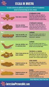 Pin En Medicina Y Salud