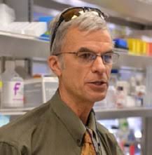 BCAN 2022 ANNUAL REPORT