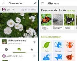You send in a picture of a flower and an expert tells you what it is. 9 Best Plant Identification App Choices Of 2020 Tested Reviewed