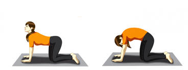 We did not find results for: Yoga For Sleep Yoga Before Bed The Art Of Living Germany