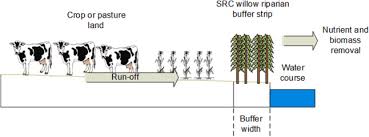 food energy water nexus