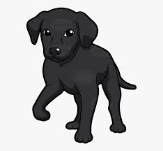 Puppy Black Clipart Transparent Png Black Lab Puppy Cartoon Free Transparent Clipart Clipartkey Download for free in png, svg, pdf formats 👆.