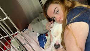 Fundraiser by Brooke Wakefield : Assist in Beano's Journey to Recovery